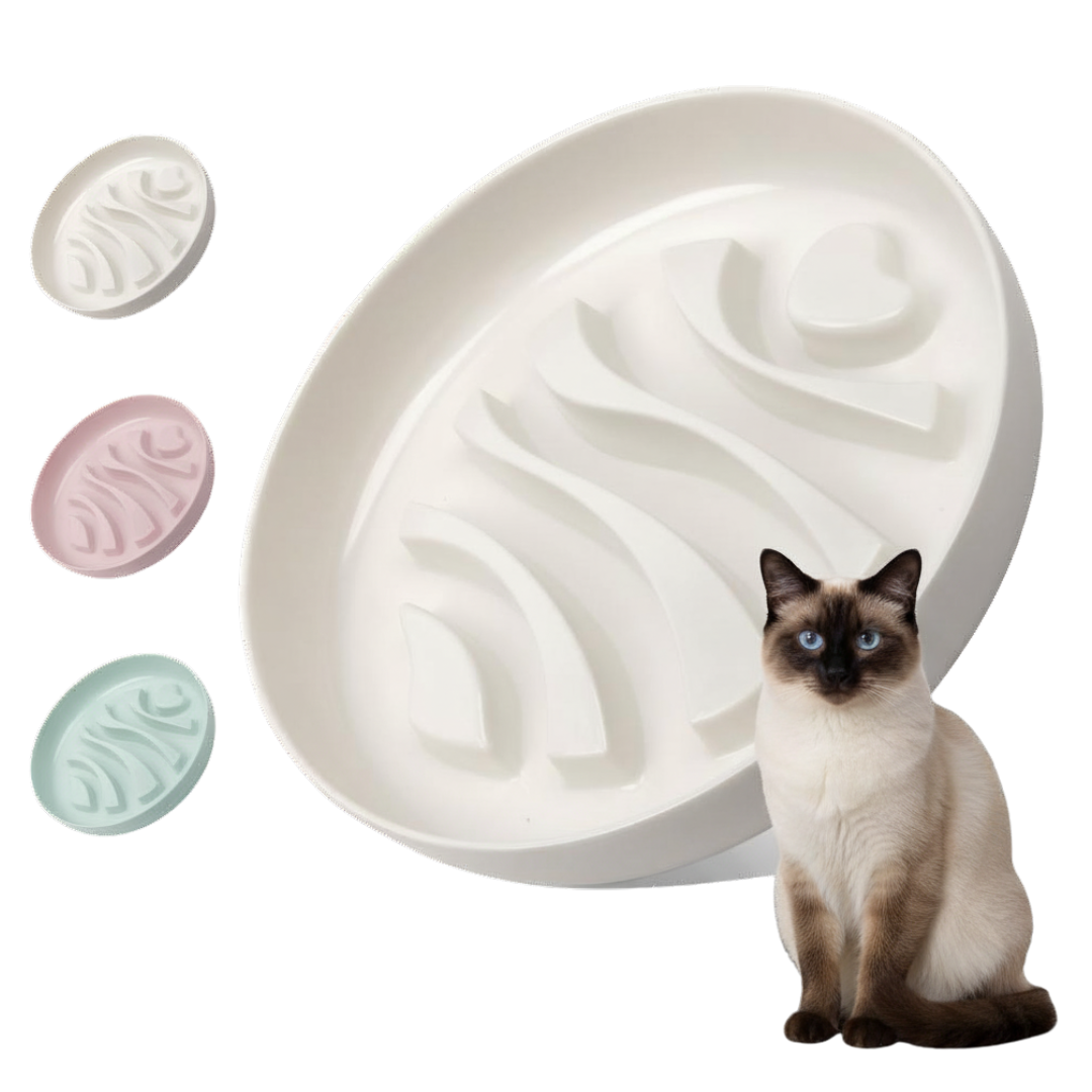 Cat Slow Feeder Bowl