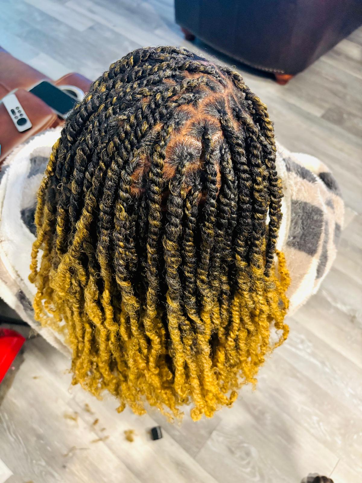 Two-Strand Twist Hair Styling