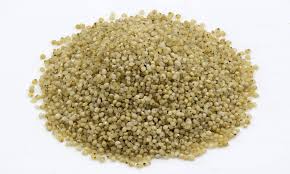 குதிரைவாலி அரிசி