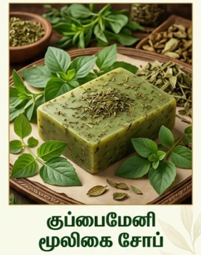 குப்பைமேனி சோப்