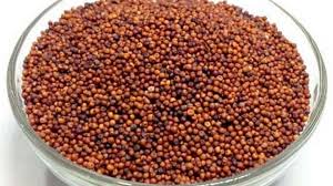 ராகி (கேழ்வரகு)