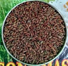 கருத்தகார் அரிசி