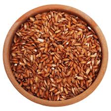 சூரக்குருவை