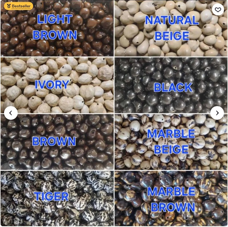500 Pcs Loose Assorted Real Kukui Nuts BASIC Color Hawaiian Hula Graduation Weddings Wholesale