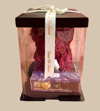 OURS + BOITE 5 PIECE 