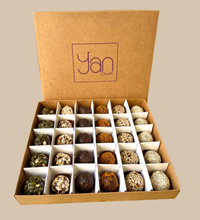 BOITE 30 PIECE ENERGY BOOLS 