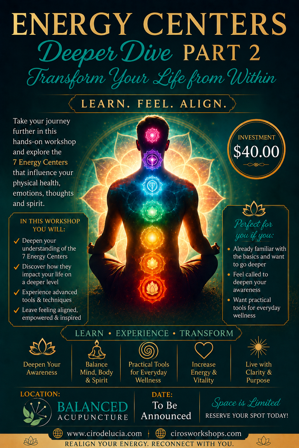 Energy Centers: Deeper Dive (Part 2) Workshop
