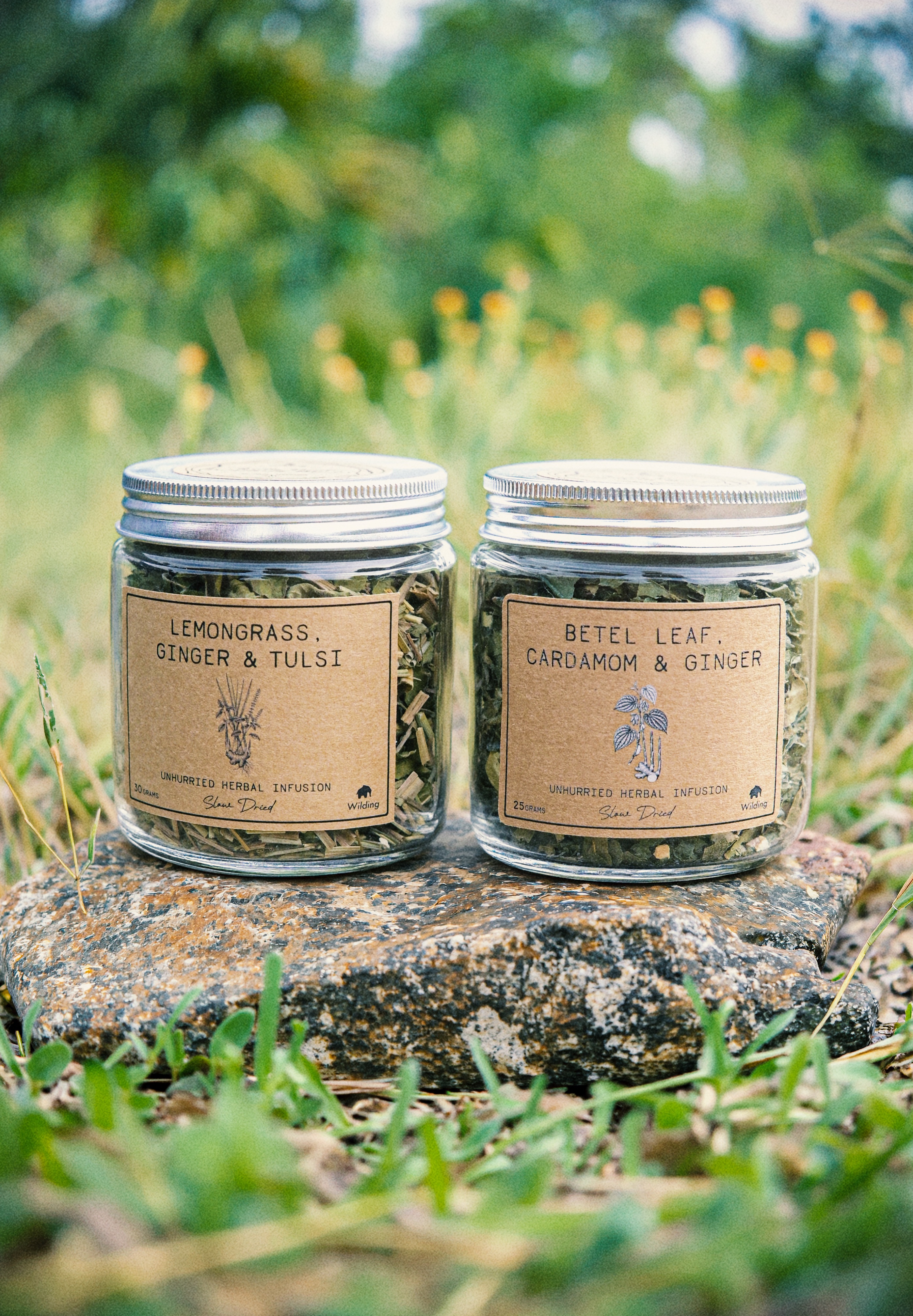 Digestive Wellness Ritual Set