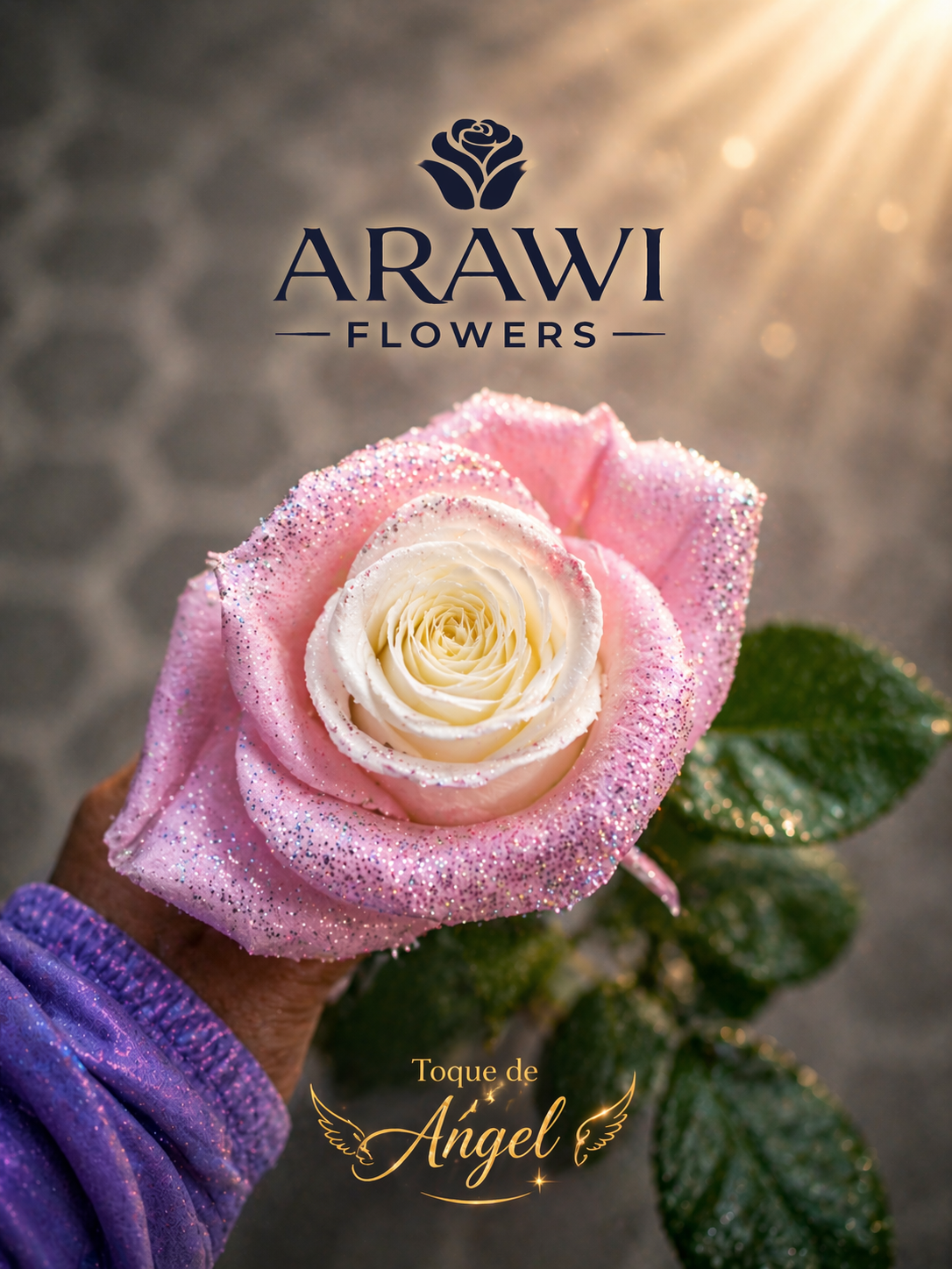 Rosa Toque de Ángel