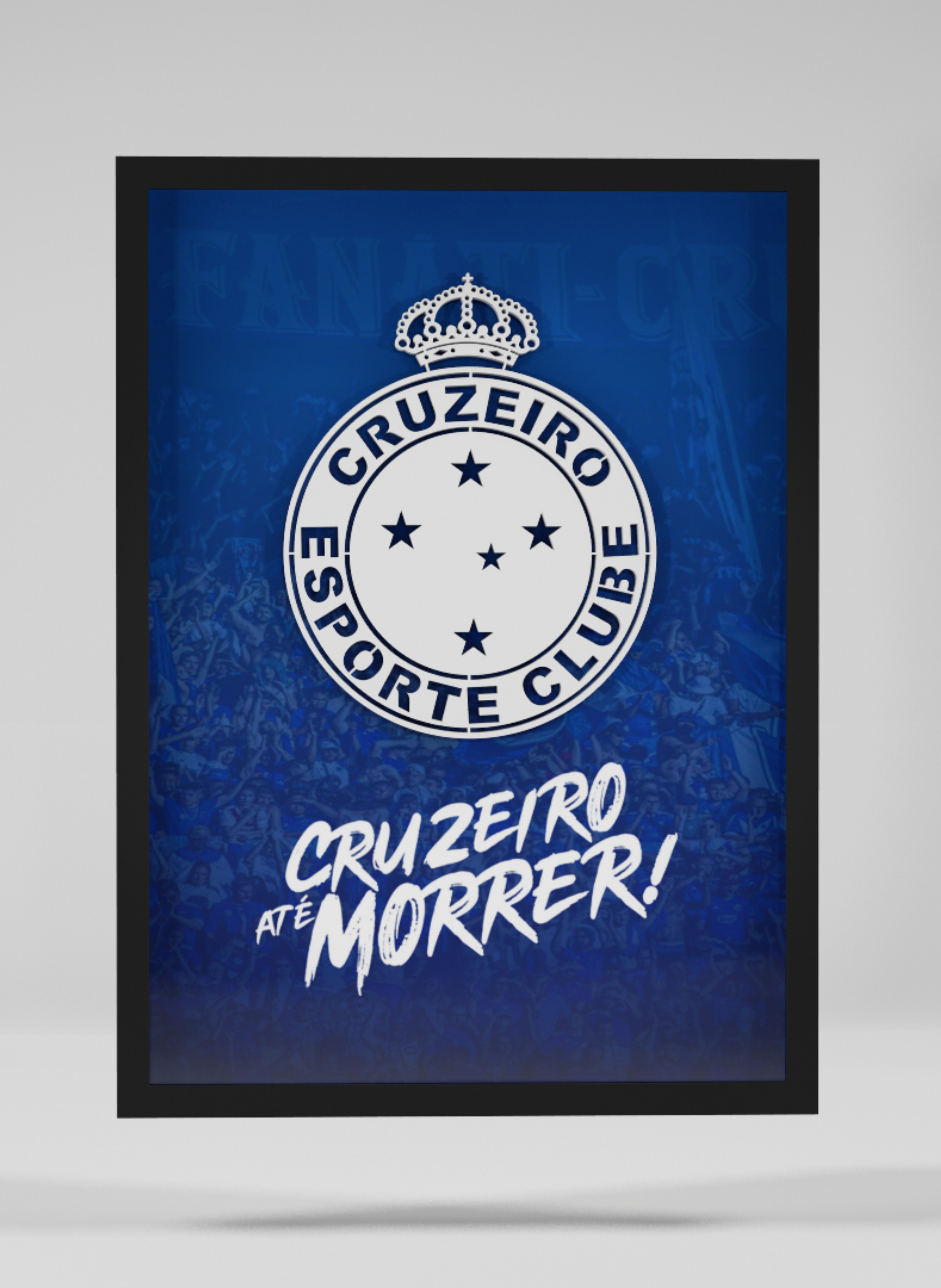 Cruzeiro Esporte Clube