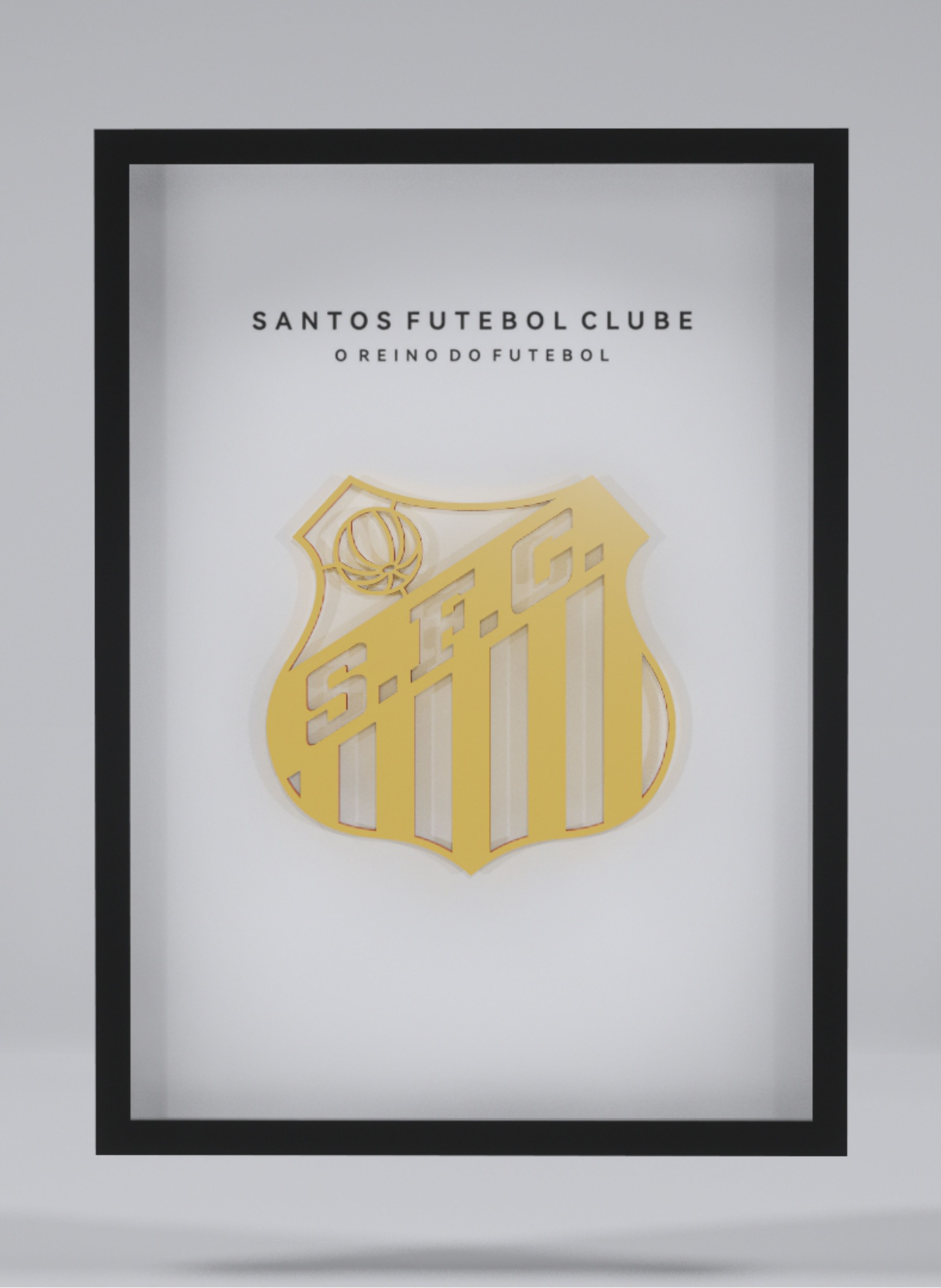 Santos Futebol Clube