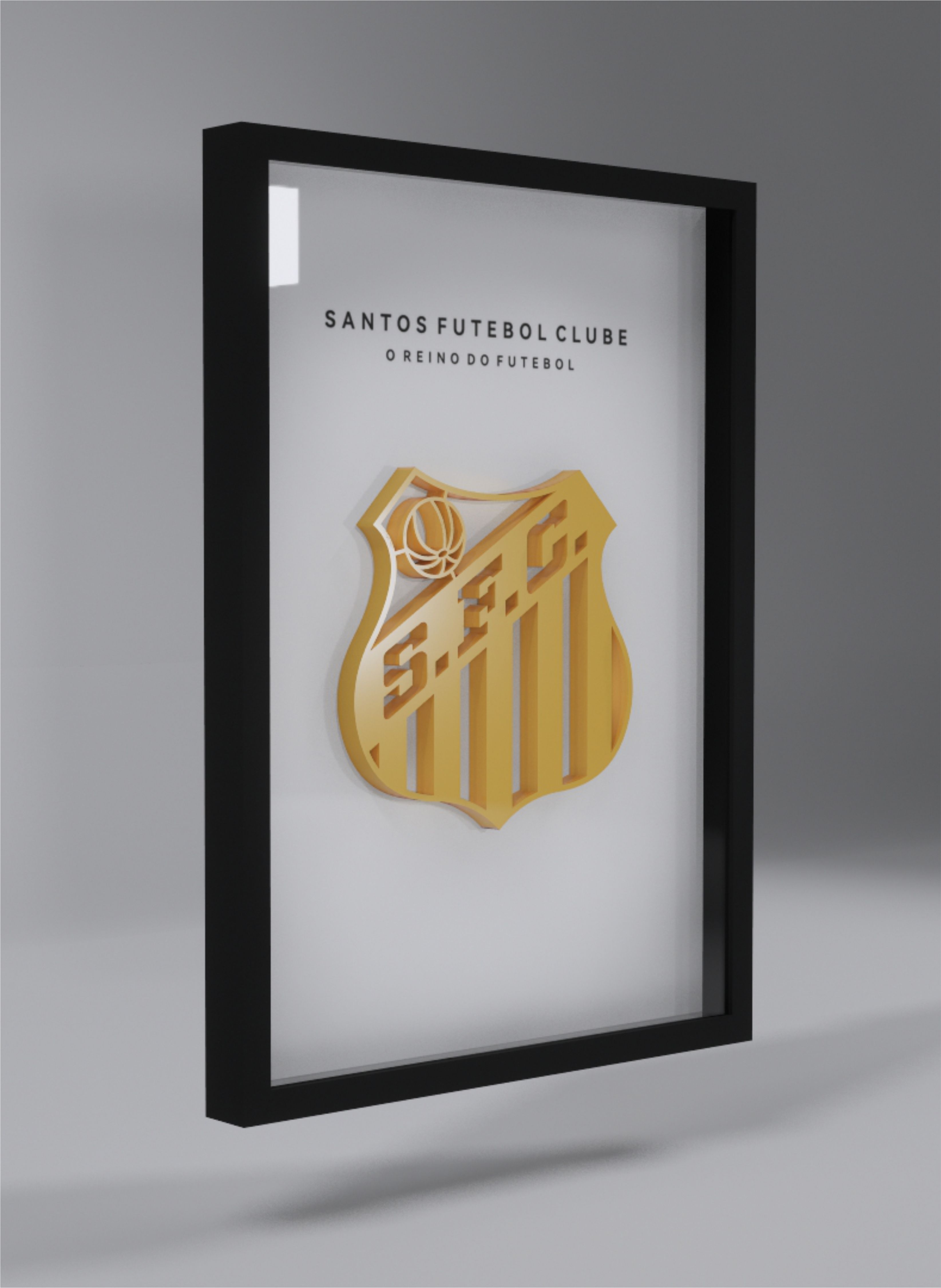 Santos Futebol Clube