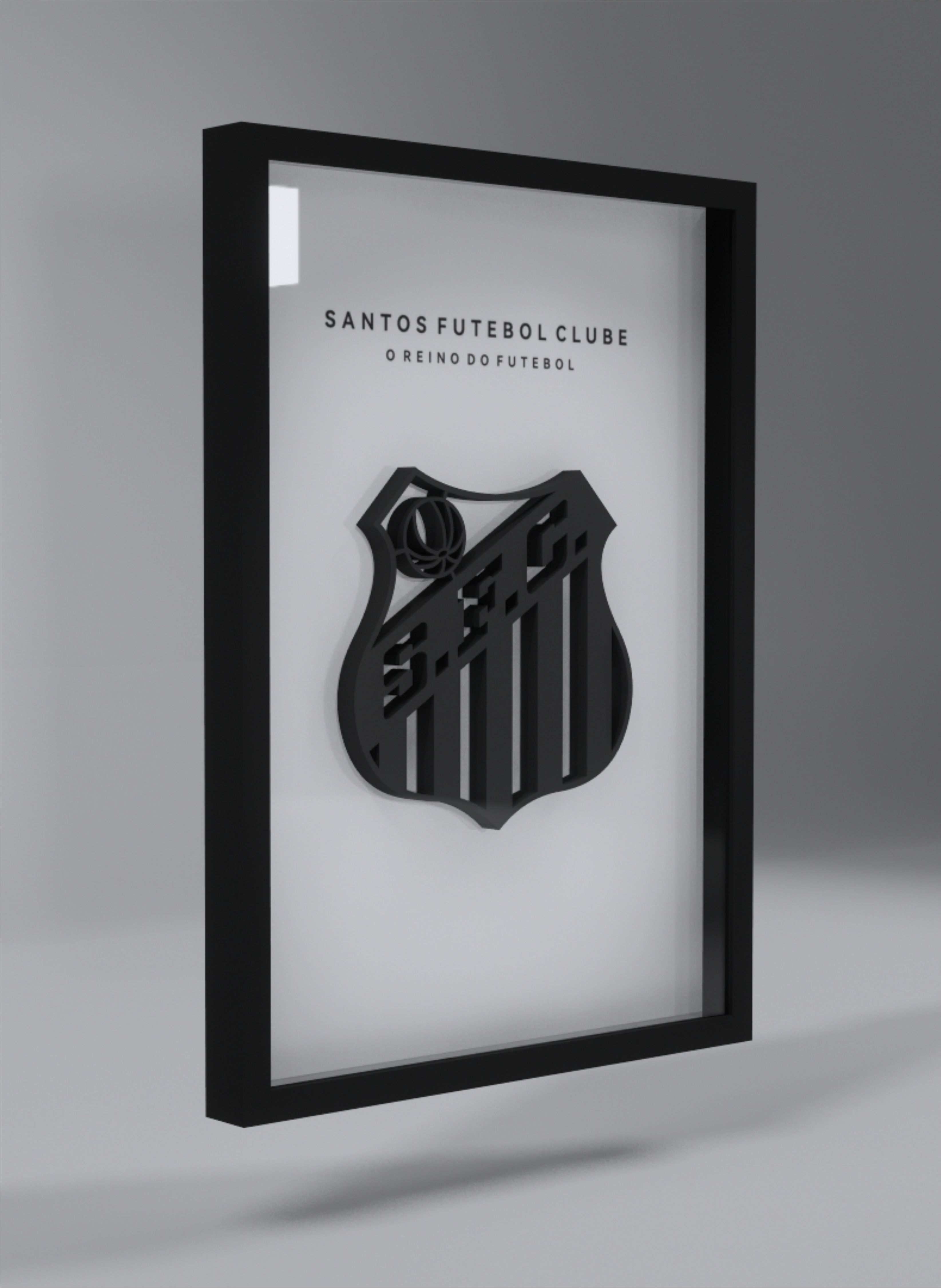 Santos Futebol Clube