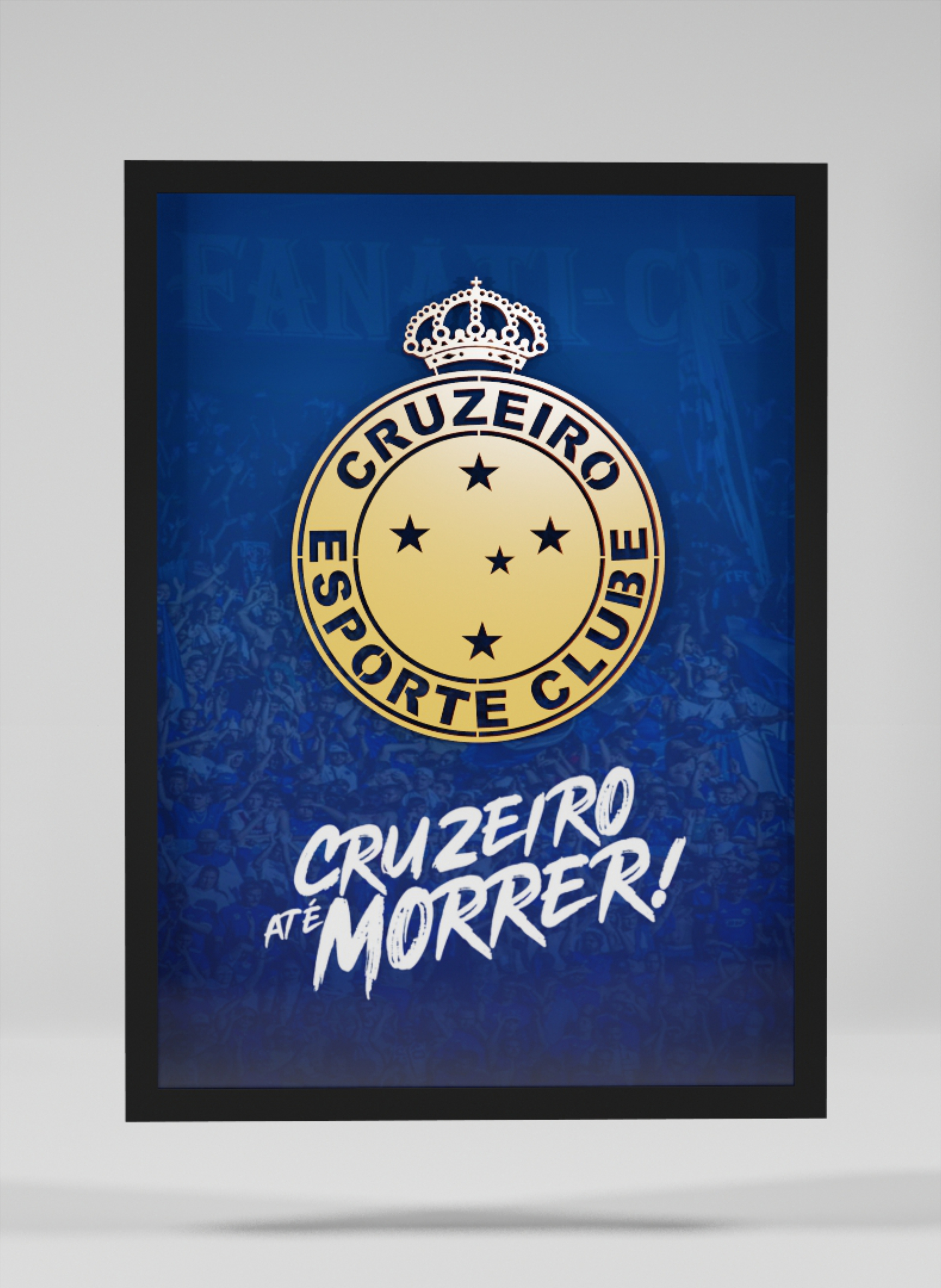 Cruzeiro Esporte Clube