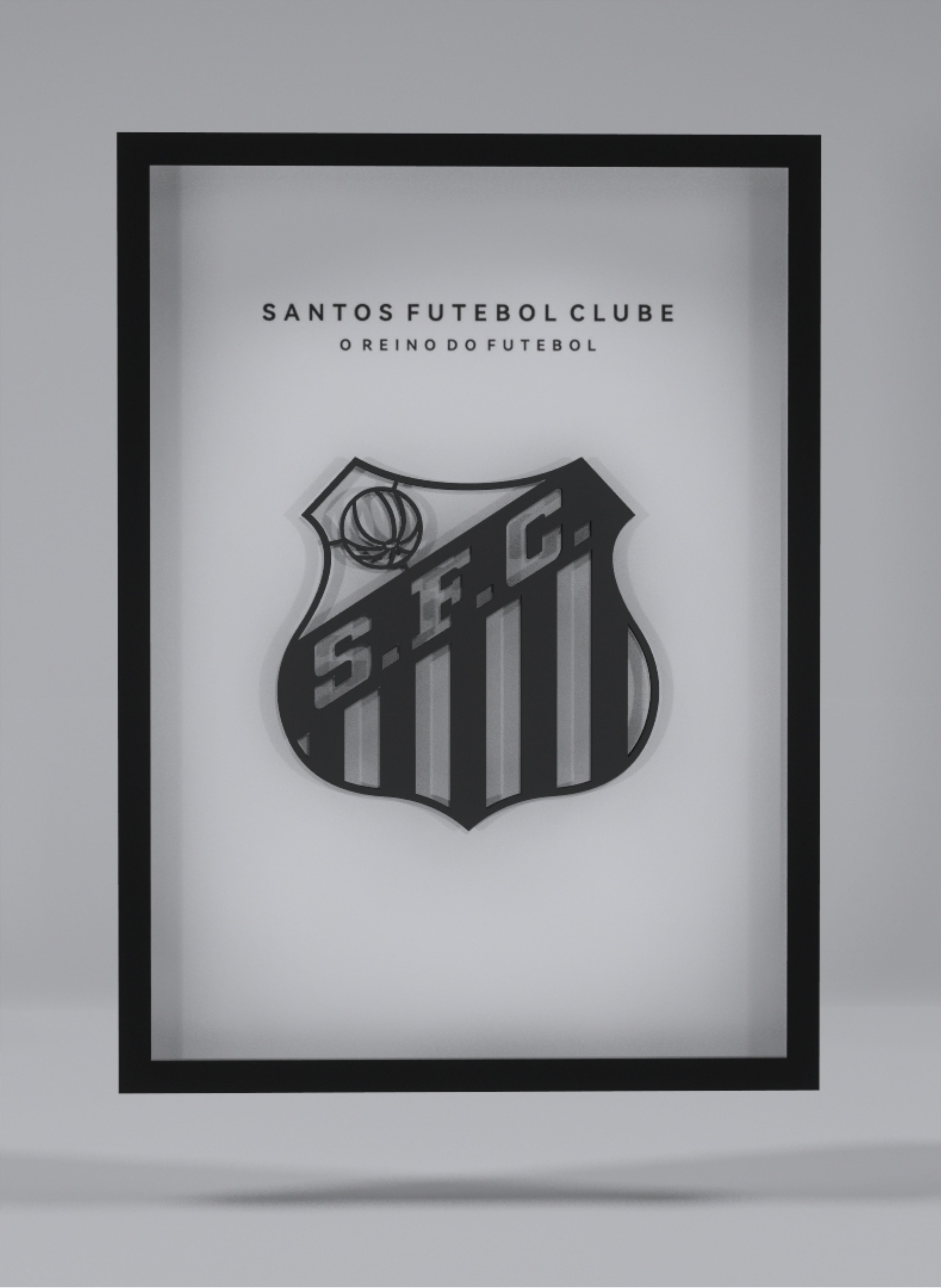 Santos Futebol Clube