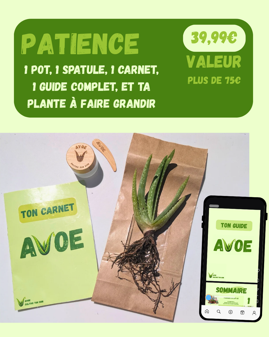 KIT AVOE - 🌿 Le kit de soin avec ingrédient naturel à faire pousser chez toi