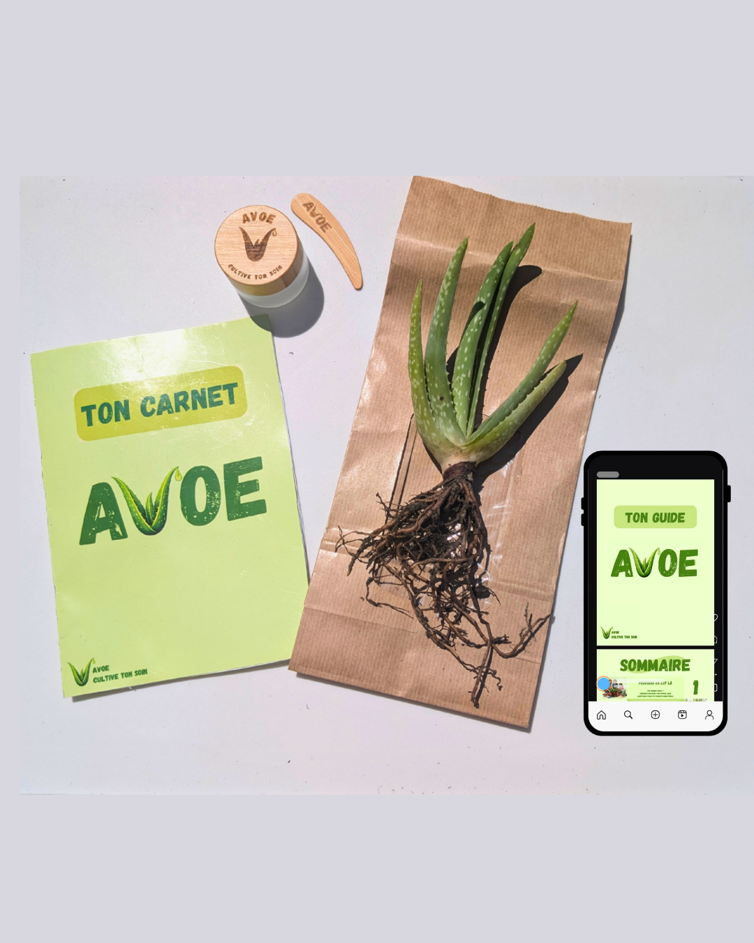 KIT AVOE - 🌿 Le kit de soin avec ingrédient naturel à faire pousser chez toi