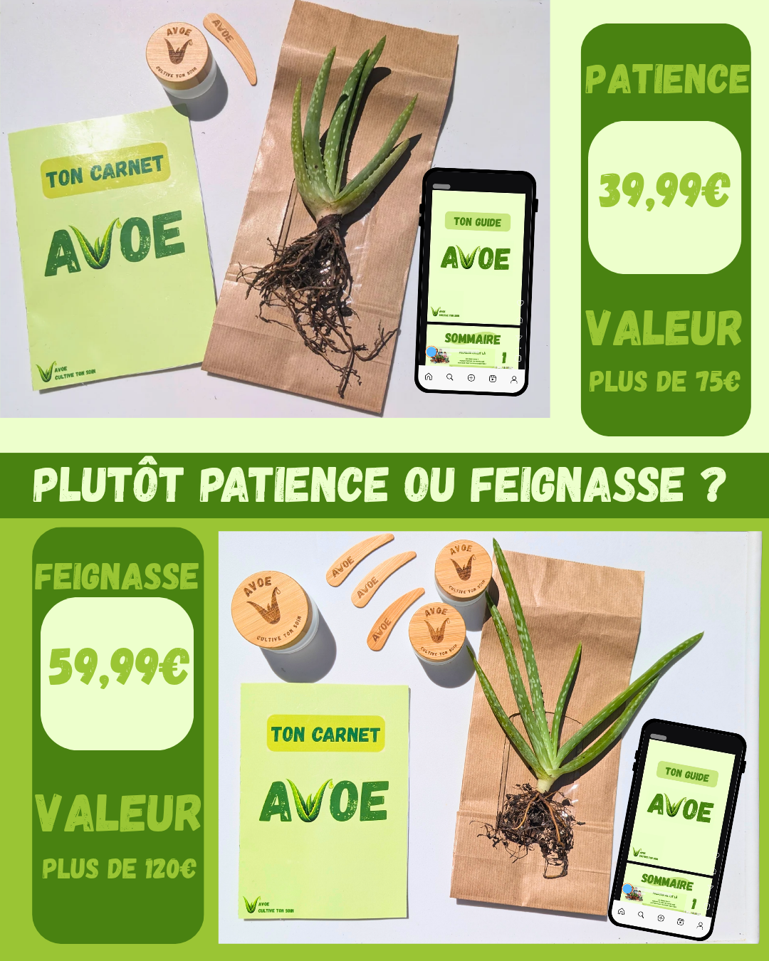 KIT AVOE - 🌿 Le kit de soin avec ingrédient naturel à faire pousser chez toi