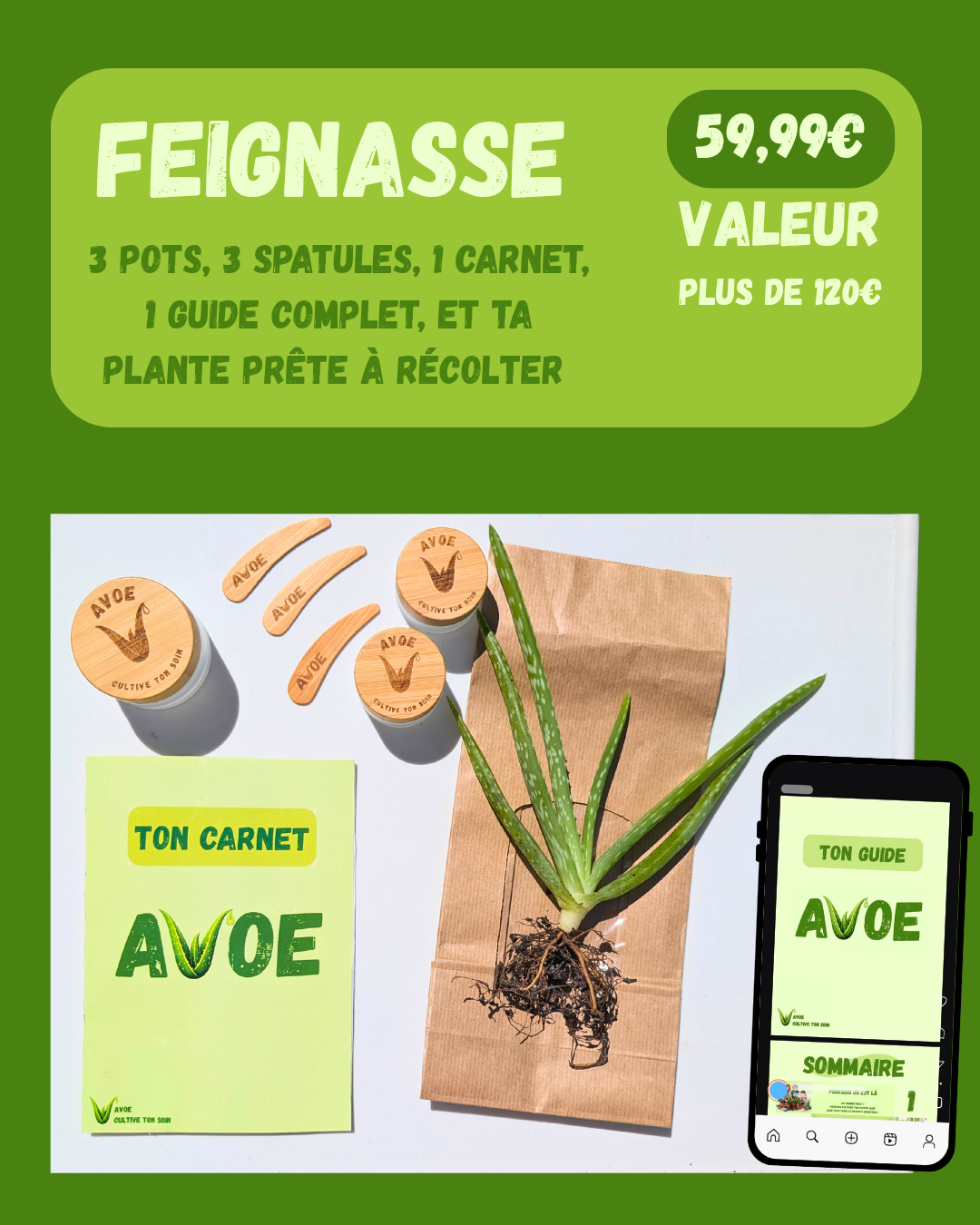 KIT AVOE - 🌿 Le kit de soin avec ingrédient naturel à faire pousser chez toi