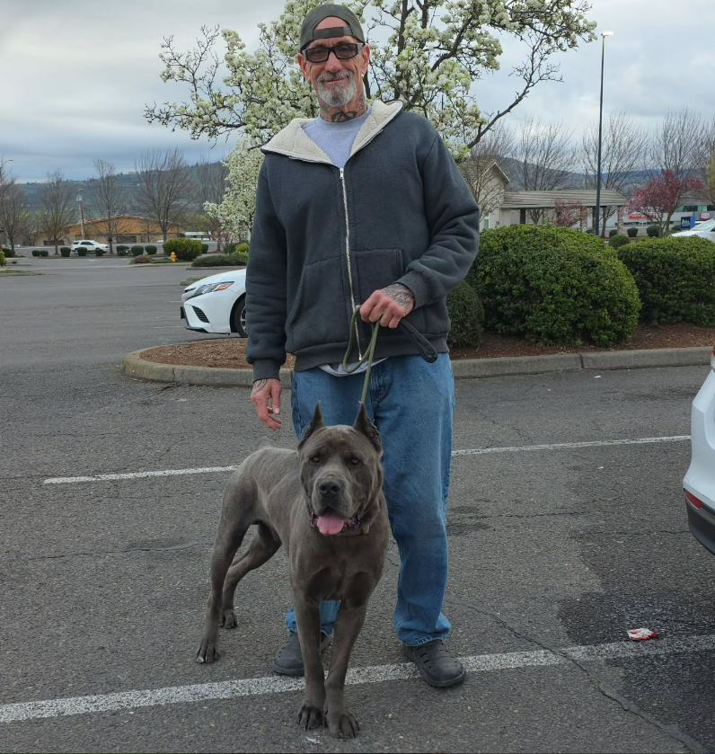 Top of the Hill Dog Rescue