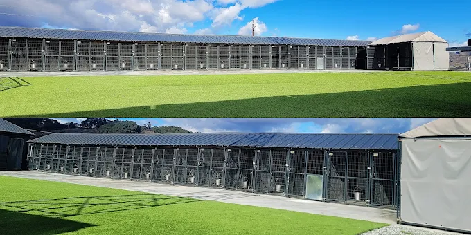 MAXIMO'S KENNELS