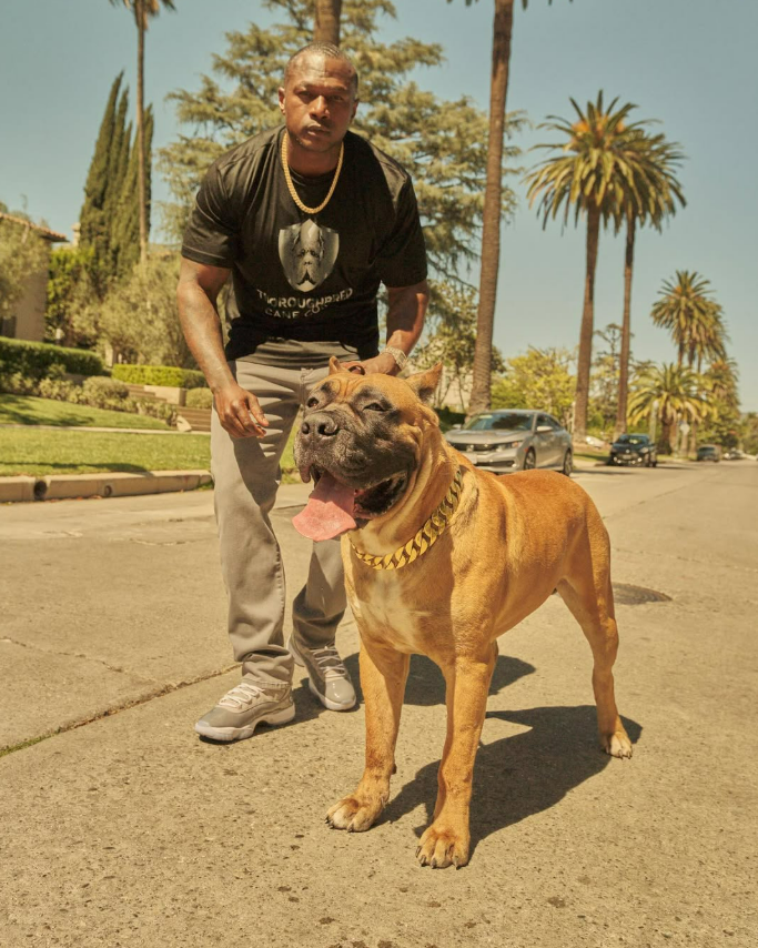 THROUGHBRED CANE CORSO