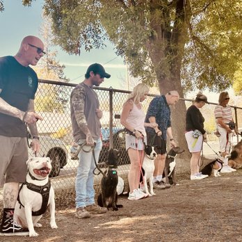 Cali K9