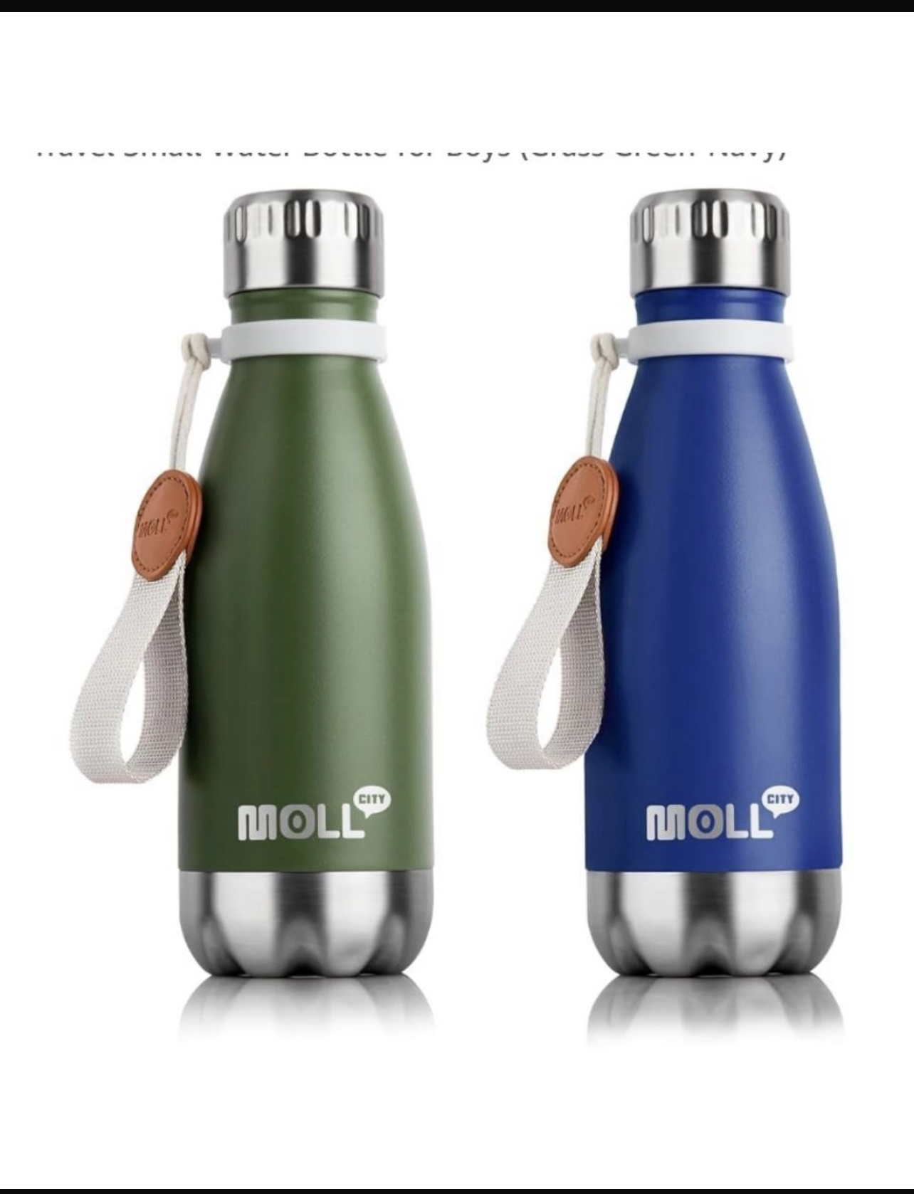 Moll City Insulated Water Bottle