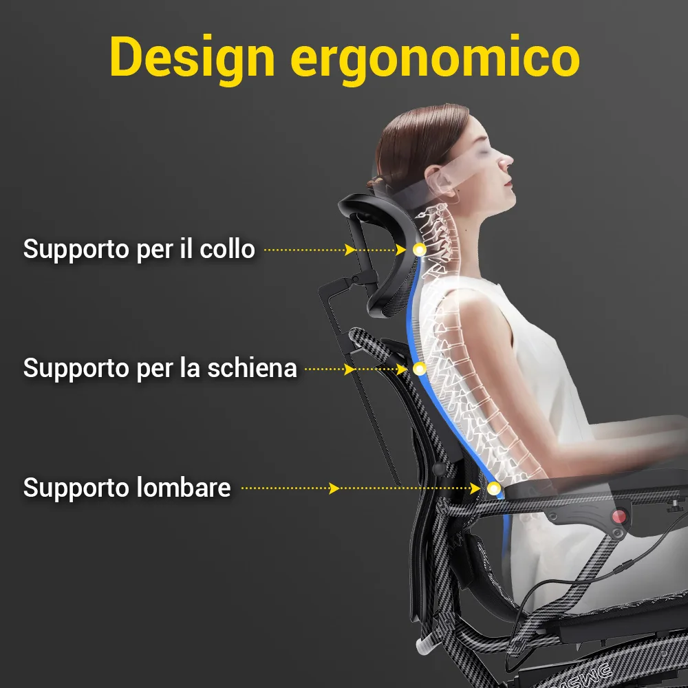 Sedia a Rotelle Elettrica Pieghevole EASWE® B10