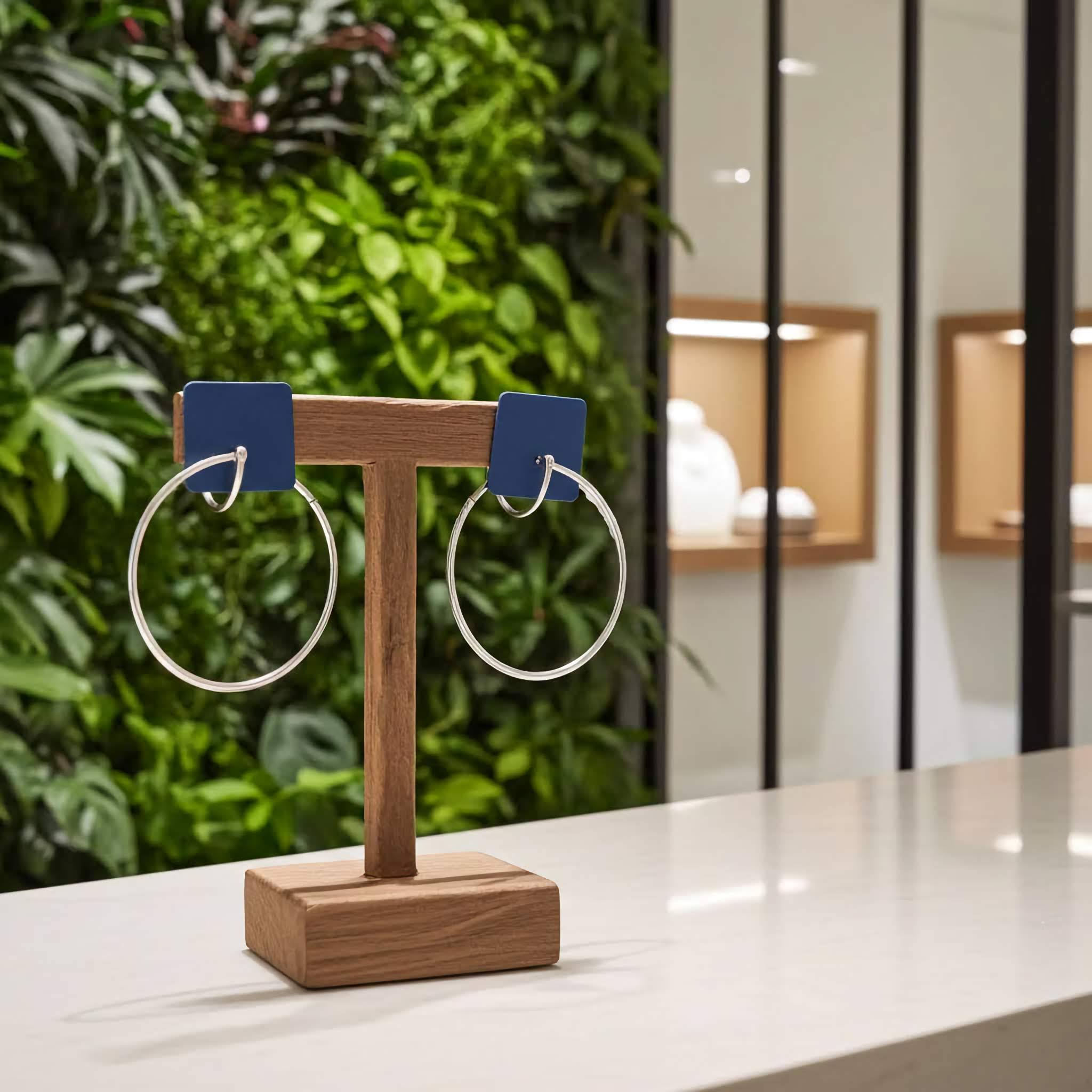 Brincos de Argola Modernos