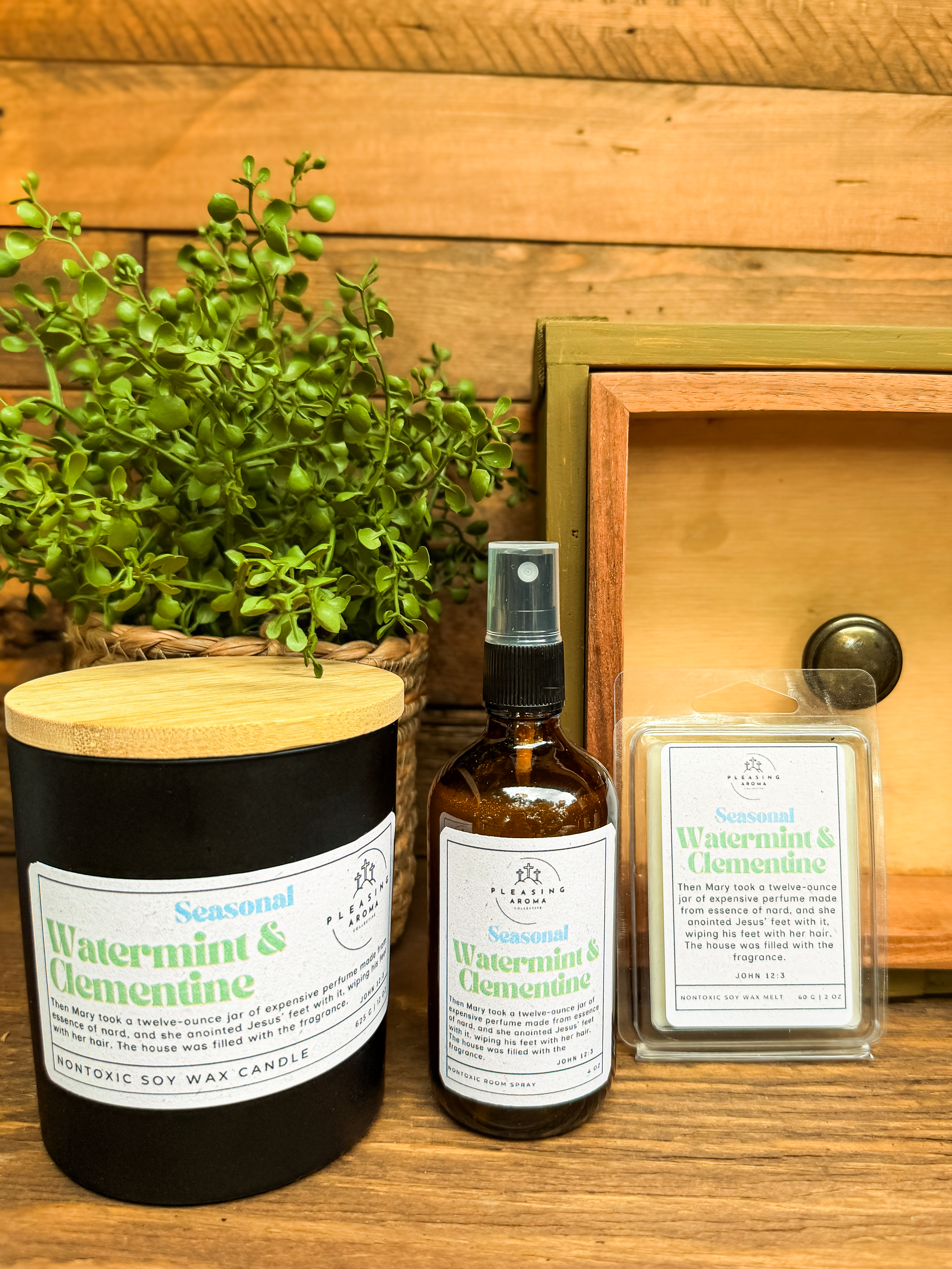 *Seasonal Set* Watermint & Clementine