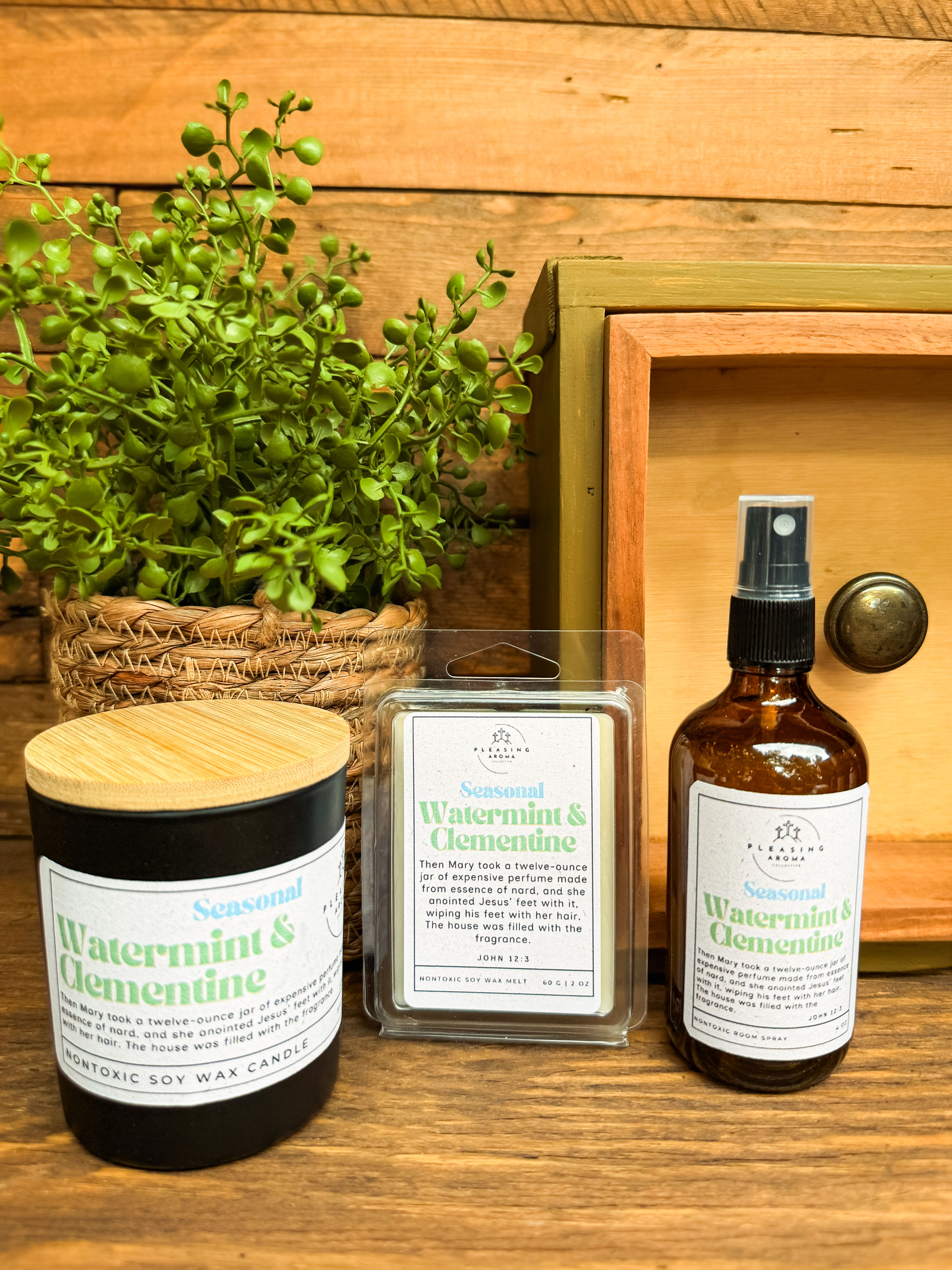 *Seasonal Set* Watermint & Clementine