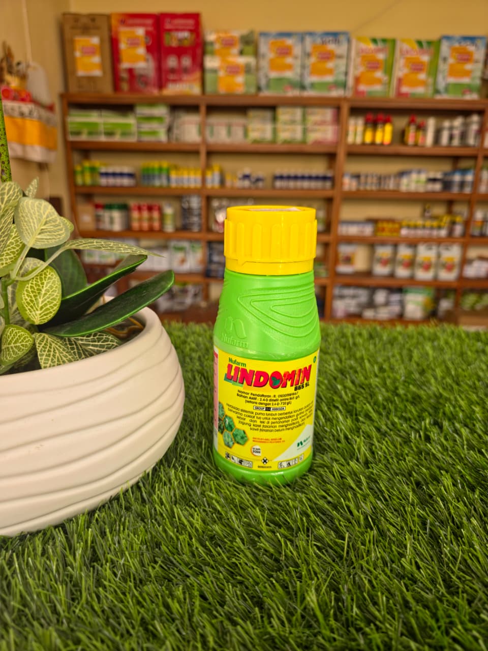 Lindomin Plant Growth Regulator