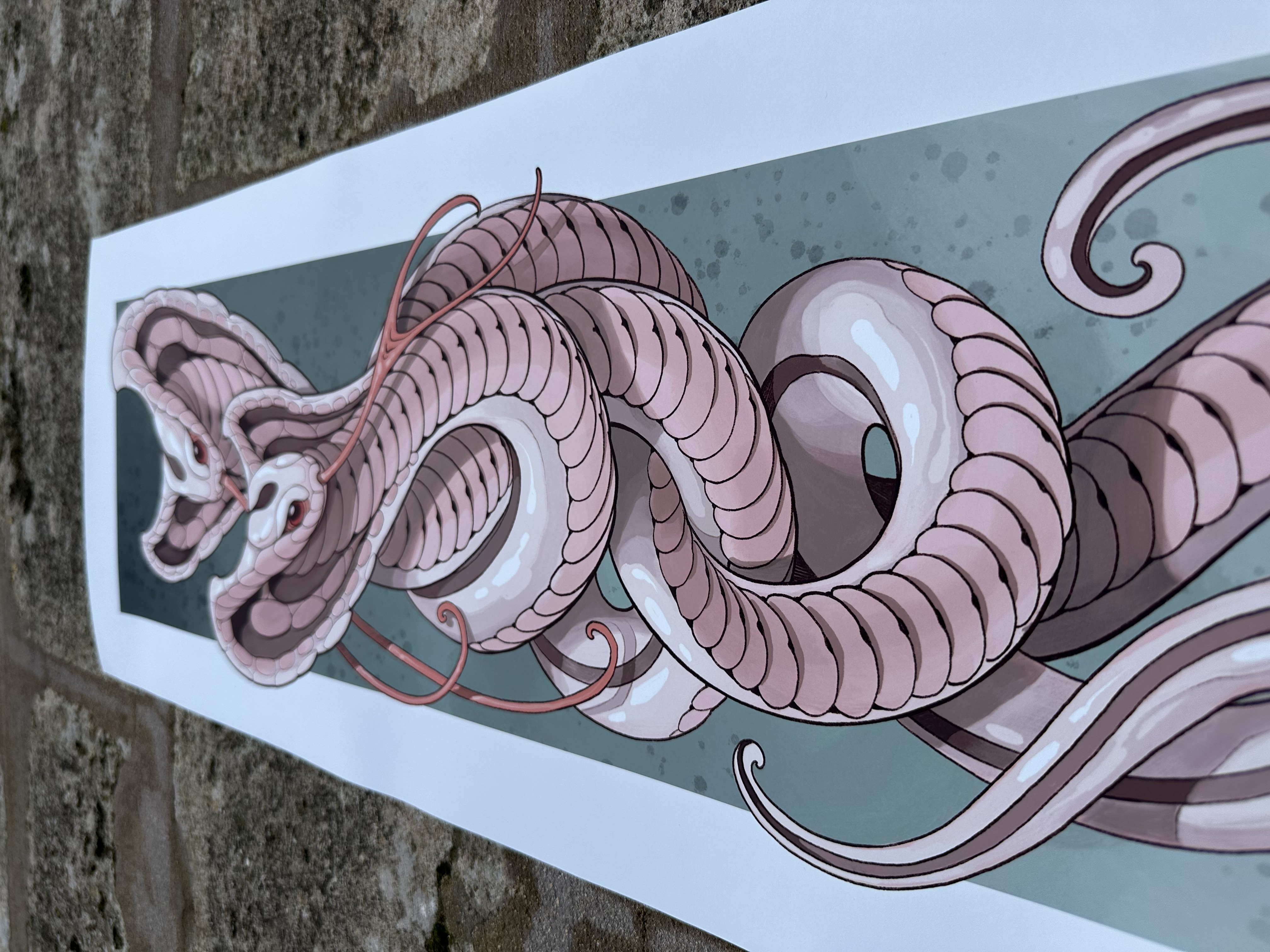 COBRAS