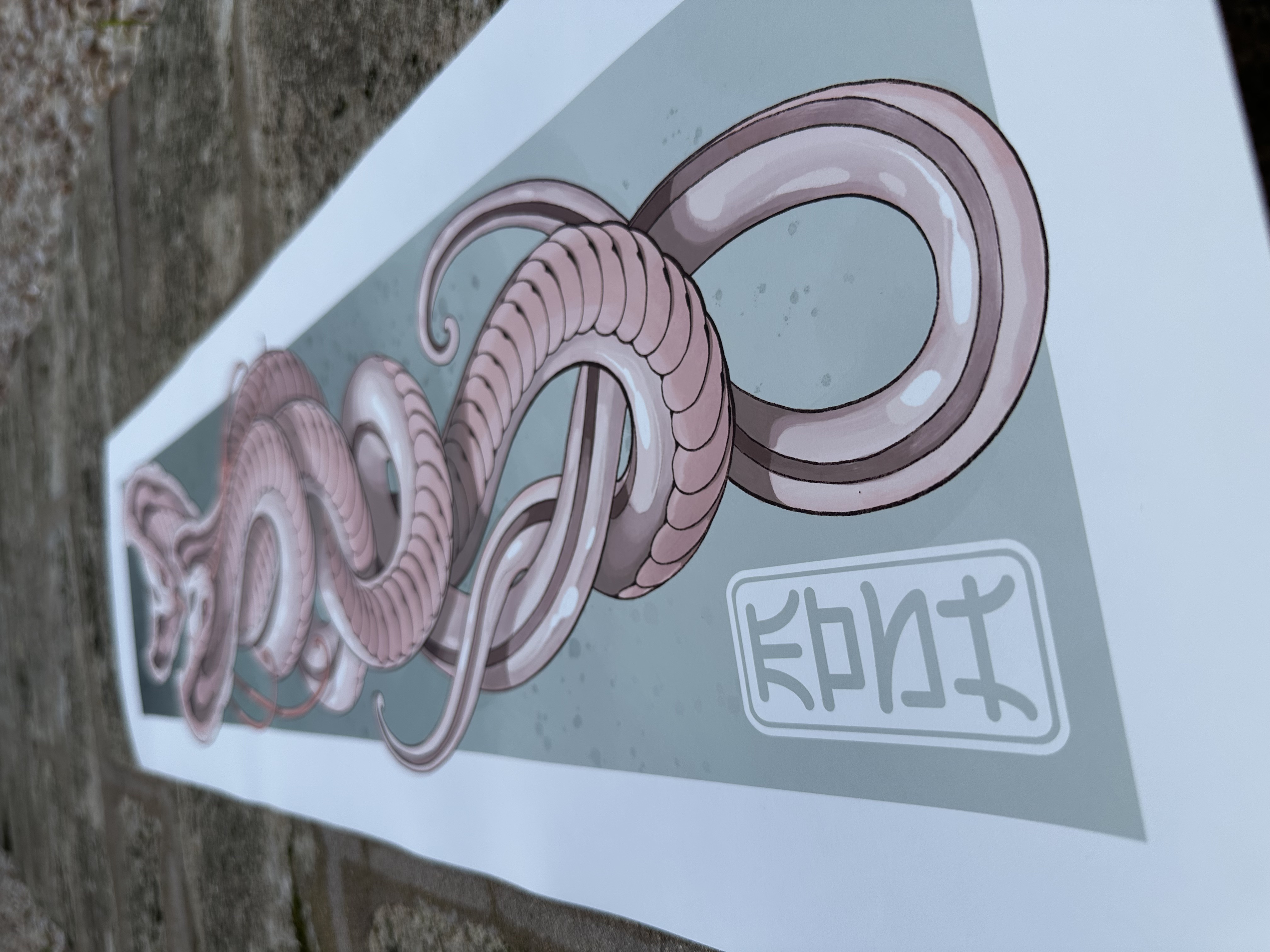 COBRAS