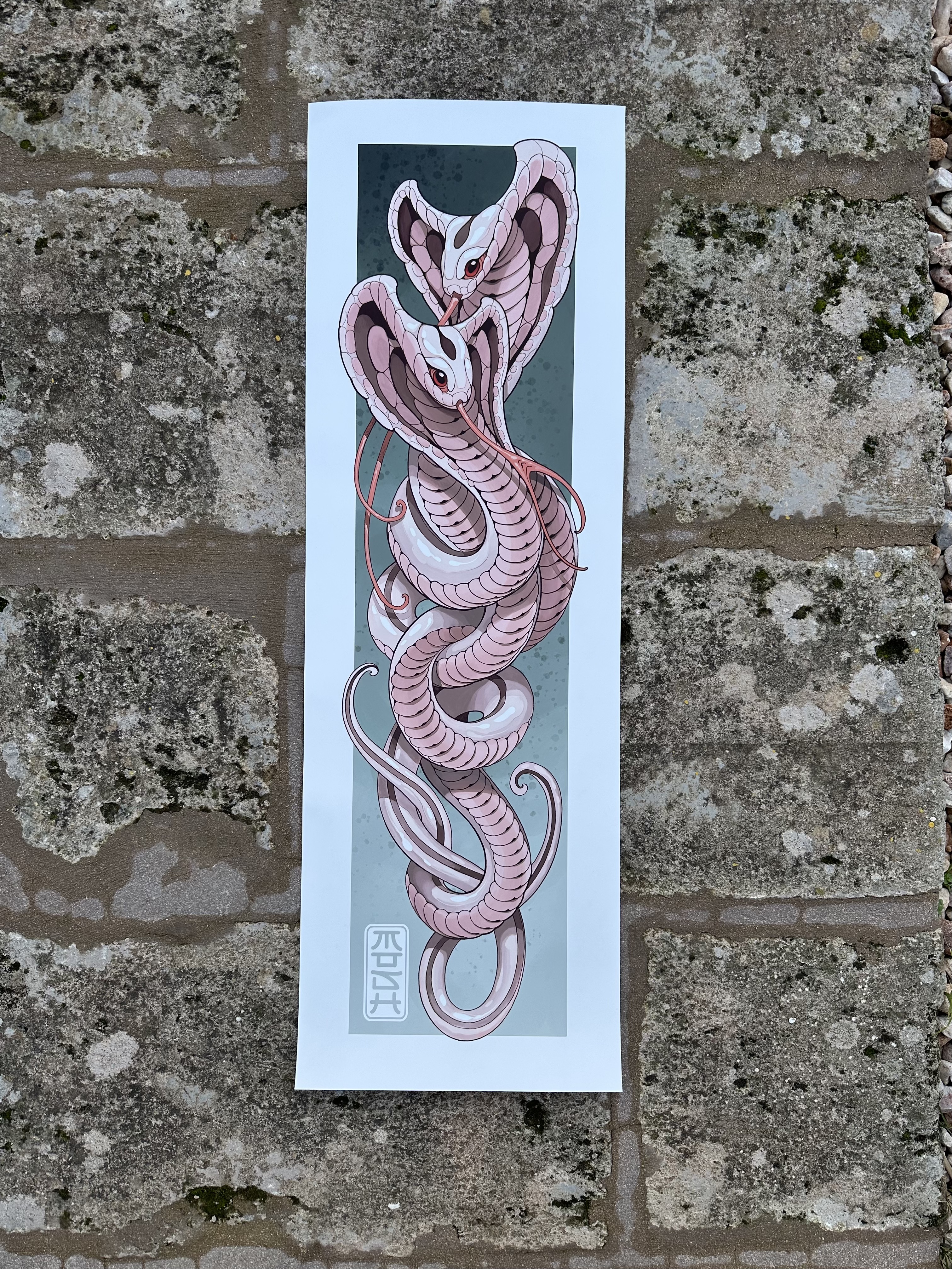COBRAS