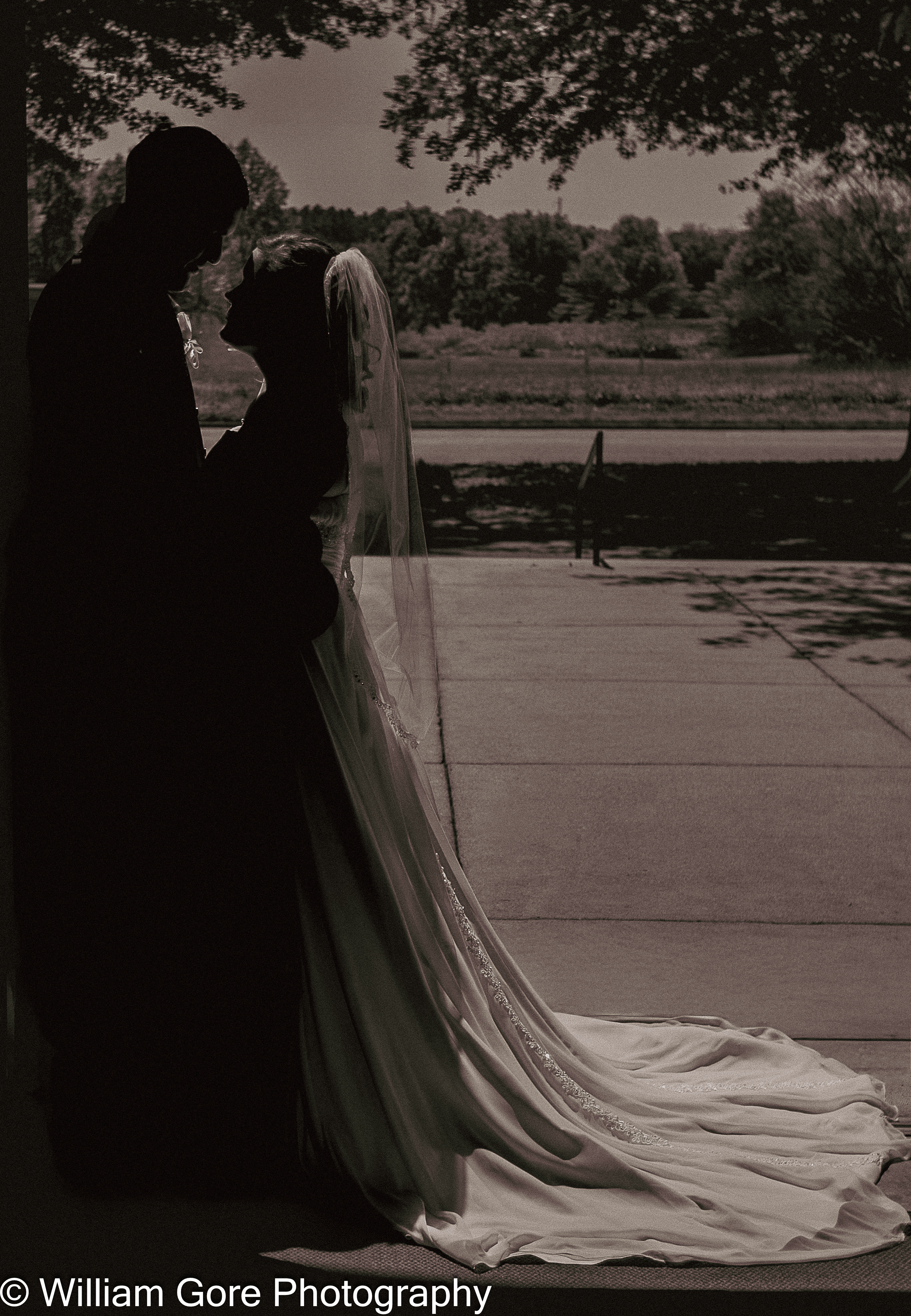 Engagements and Weddings
