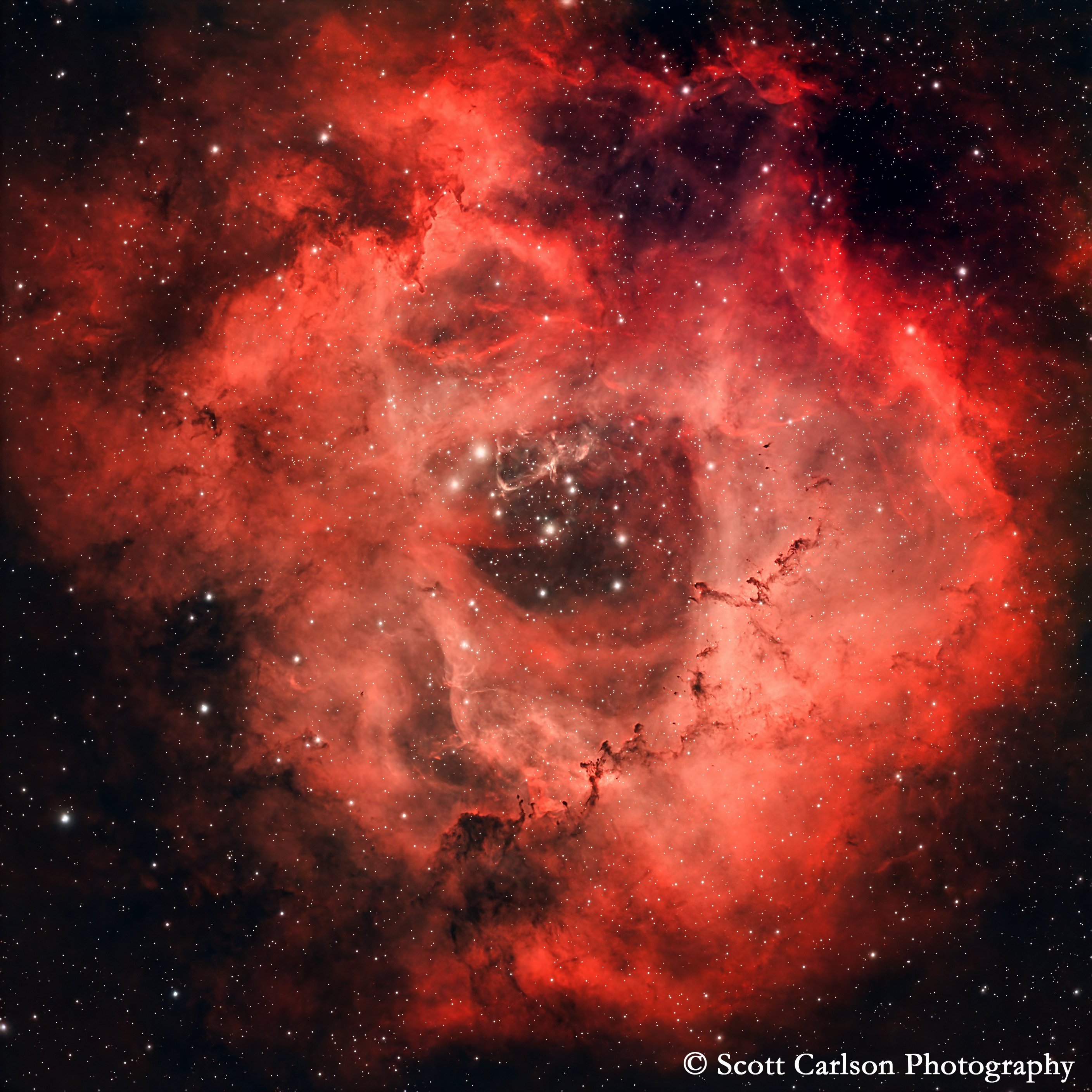 Rosette Nebula Print