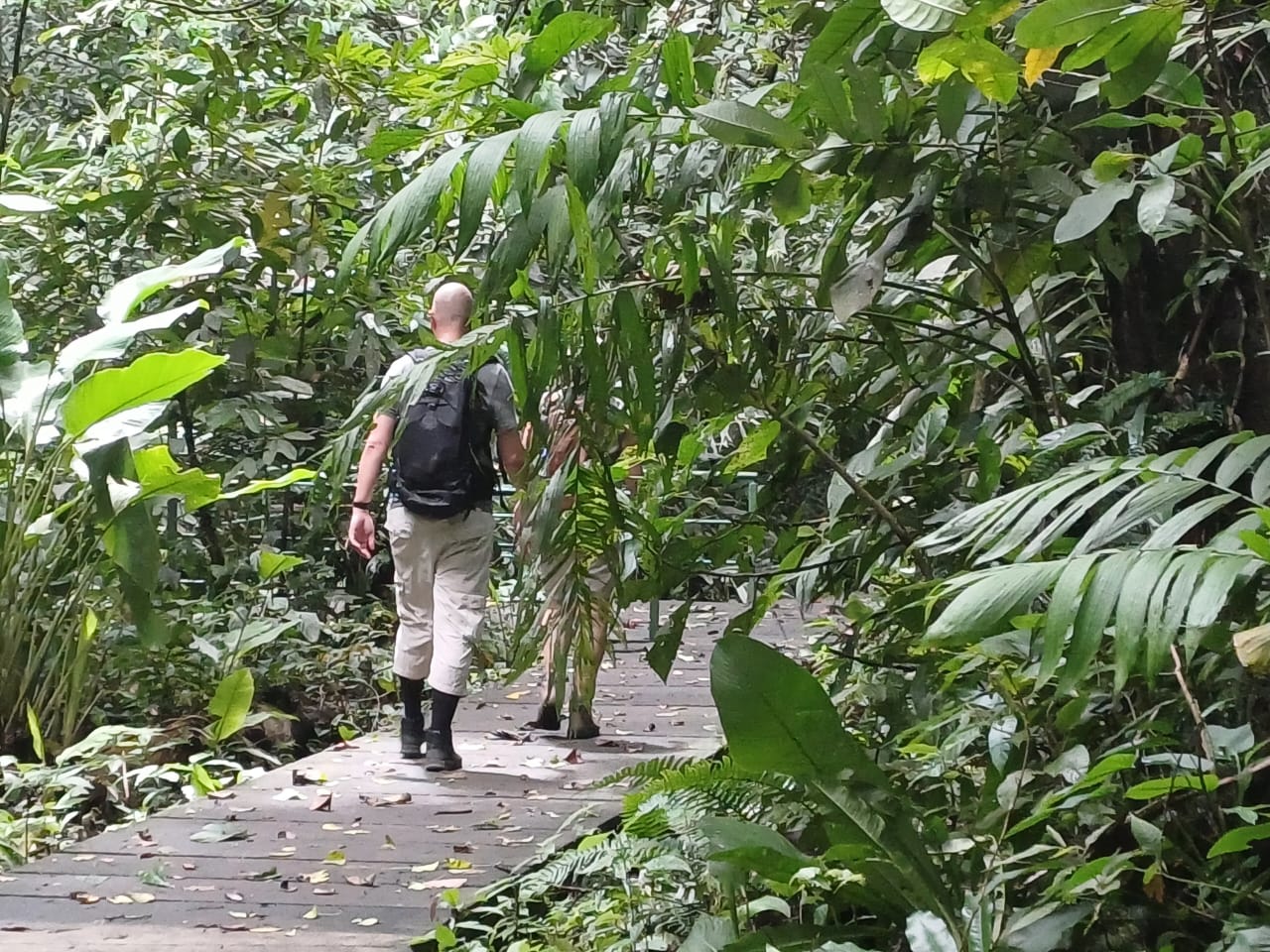 Tortuguero hill hike