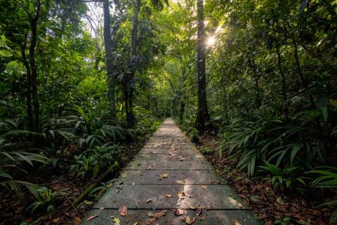 Tortuguero hill hike