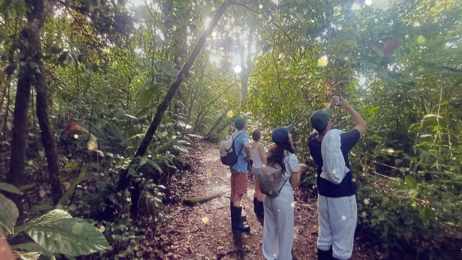 Tortuguero Hill, Jaguar Trail & Canoe Combo