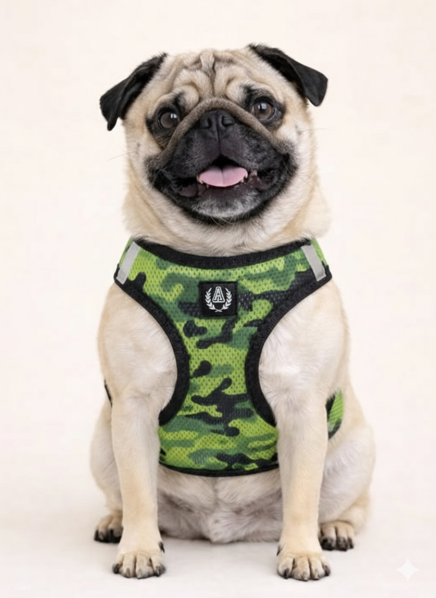 Adjustable Dog Harness