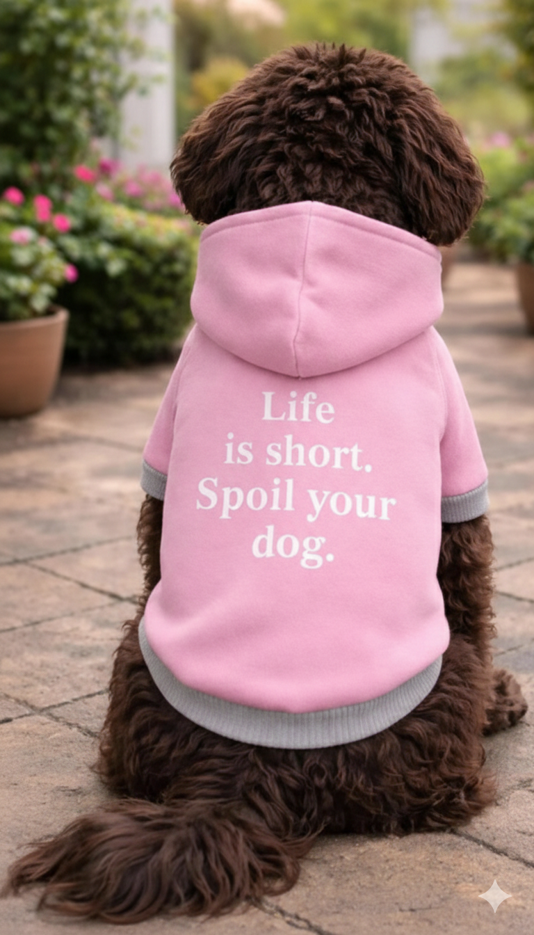 Dog Hoodie with Inspirational Quote