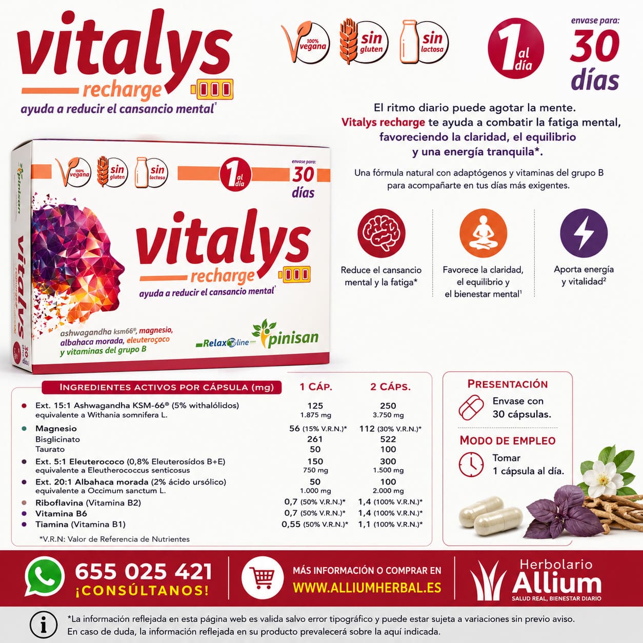 Vitalys Recharge 30 cápsulas 873 mg de Pinisan con magnesio y vitamima B