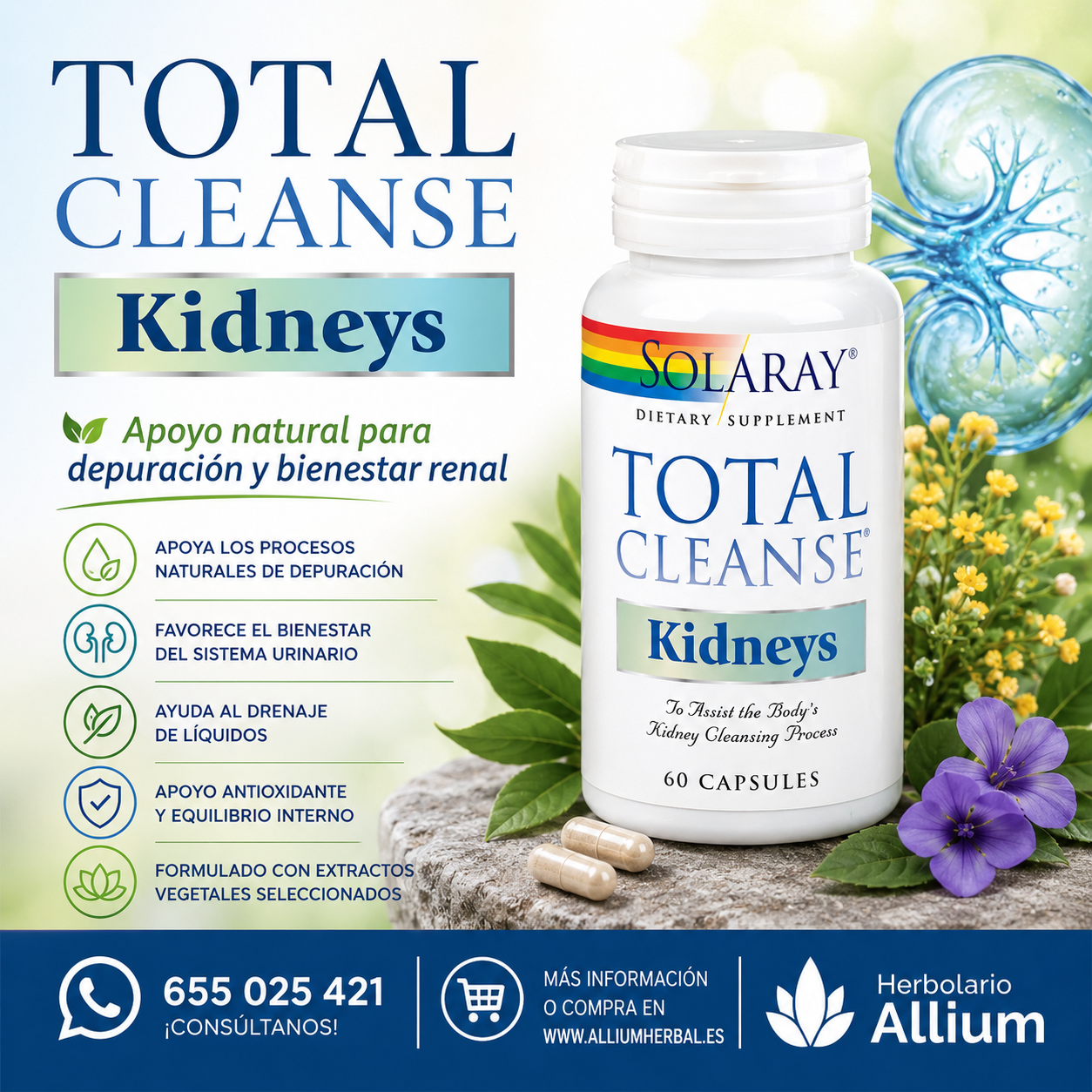 Total Cleanse Kidney 60 cápsulas de Solaray