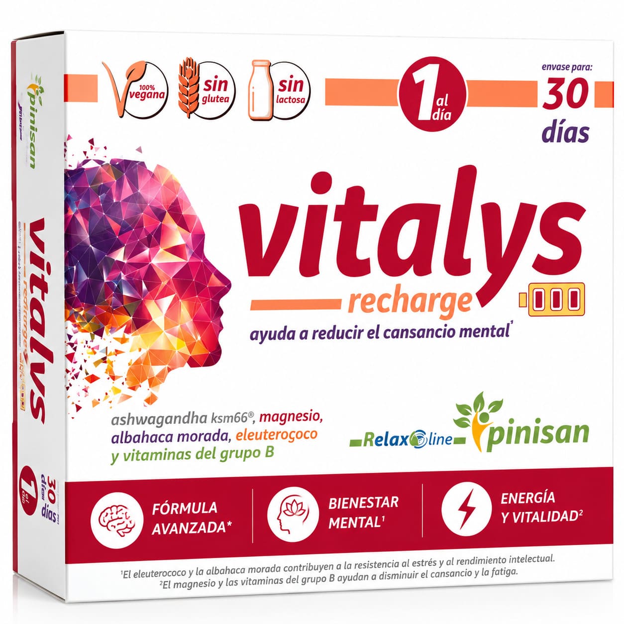 Vitalys Recharge 30 cápsulas 873 mg de Pinisan con magnesio y vitamima B