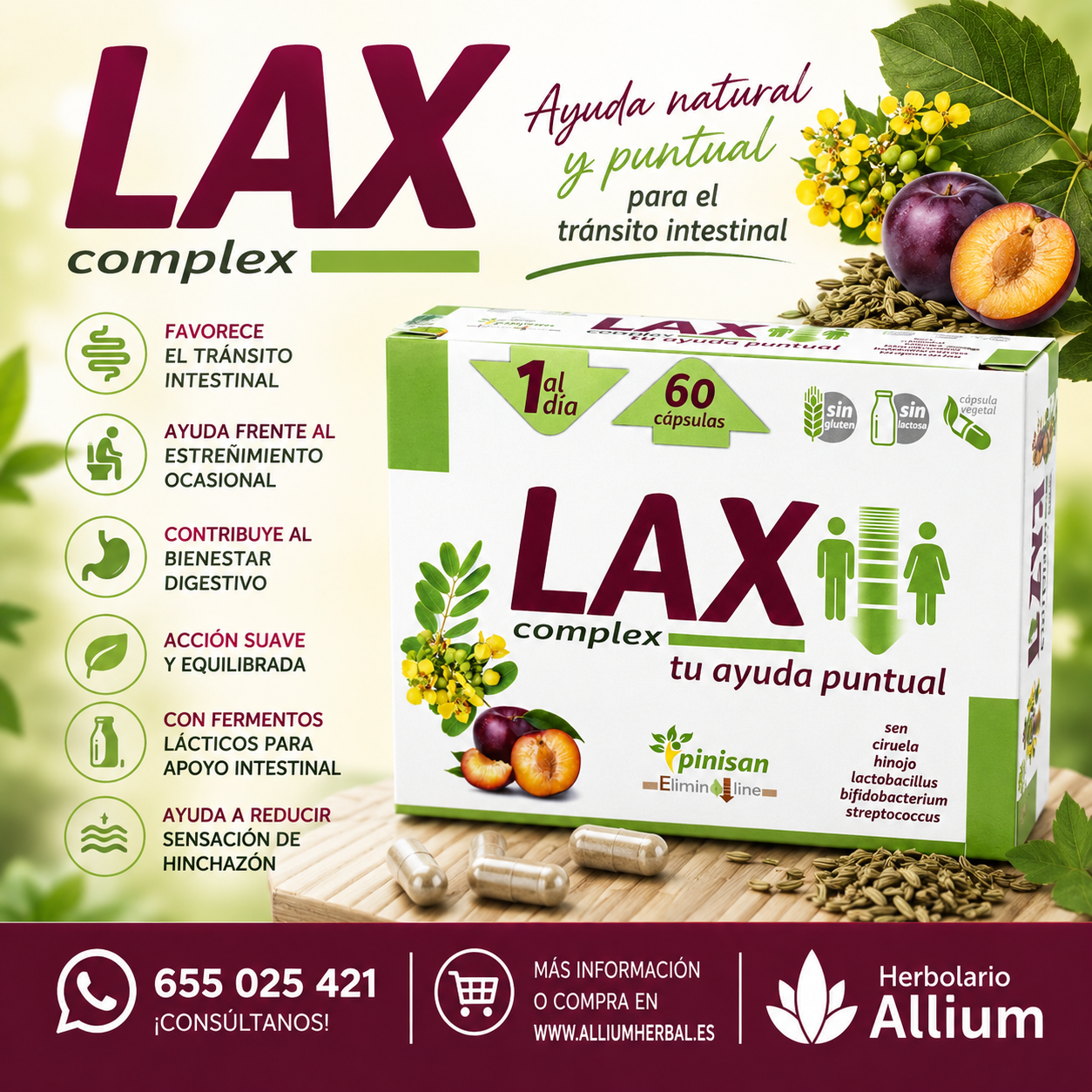Lax Complex 60 cápsulas de Pinisan