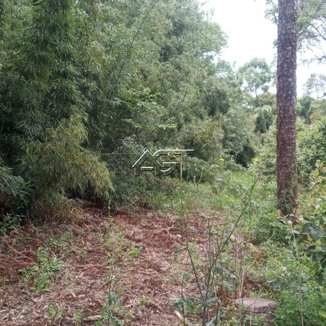 Terreno rural à venda – Colônia Cachoeira