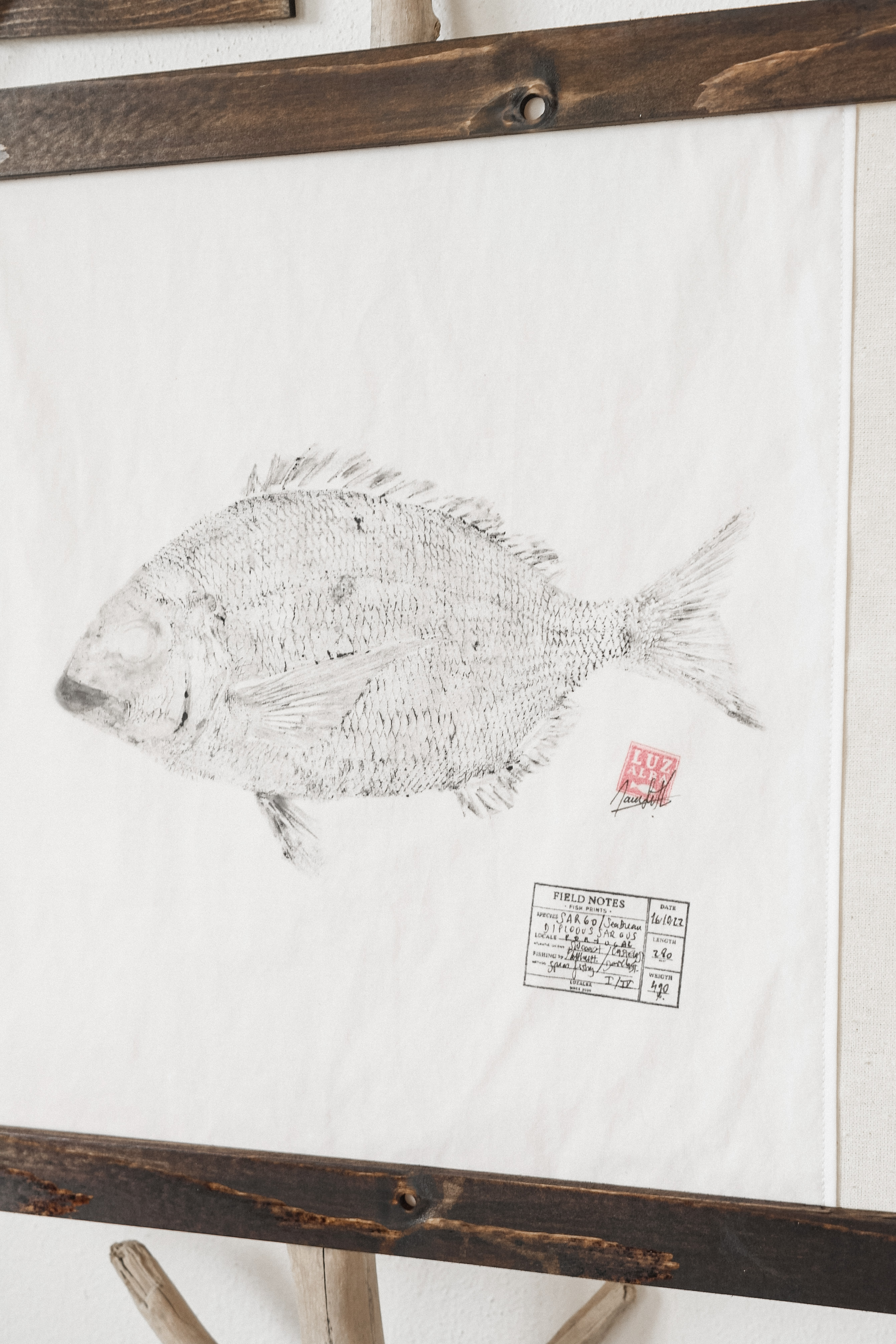 FISH PRINT | Pre-Order
