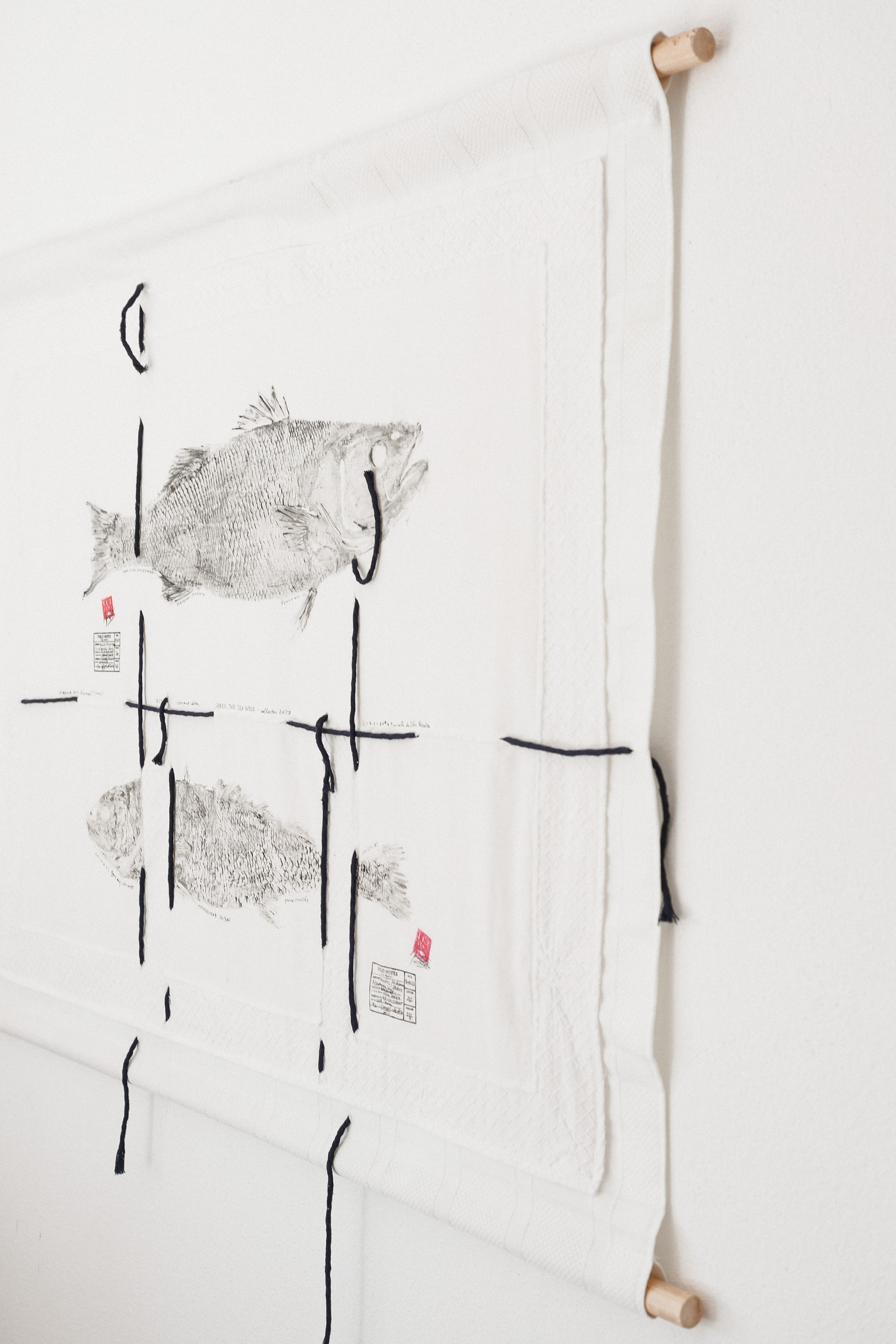 Labrax: the sea wolf